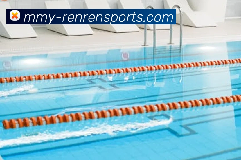 人人体育网页版在线直播平台生态图